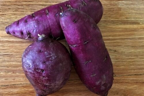 Purple Yam